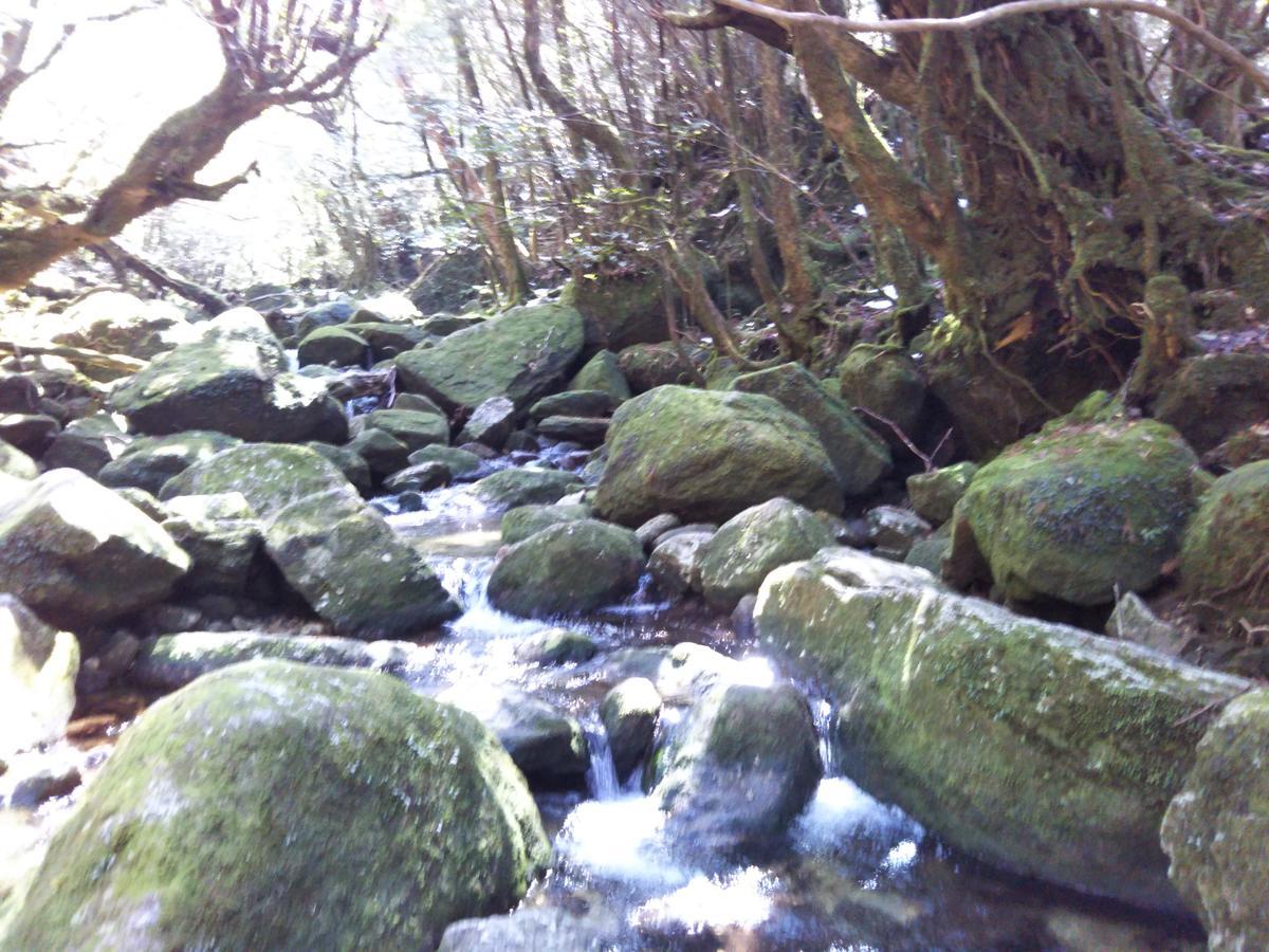 Cottage Yakusugi House Yakushima  Exterior photo