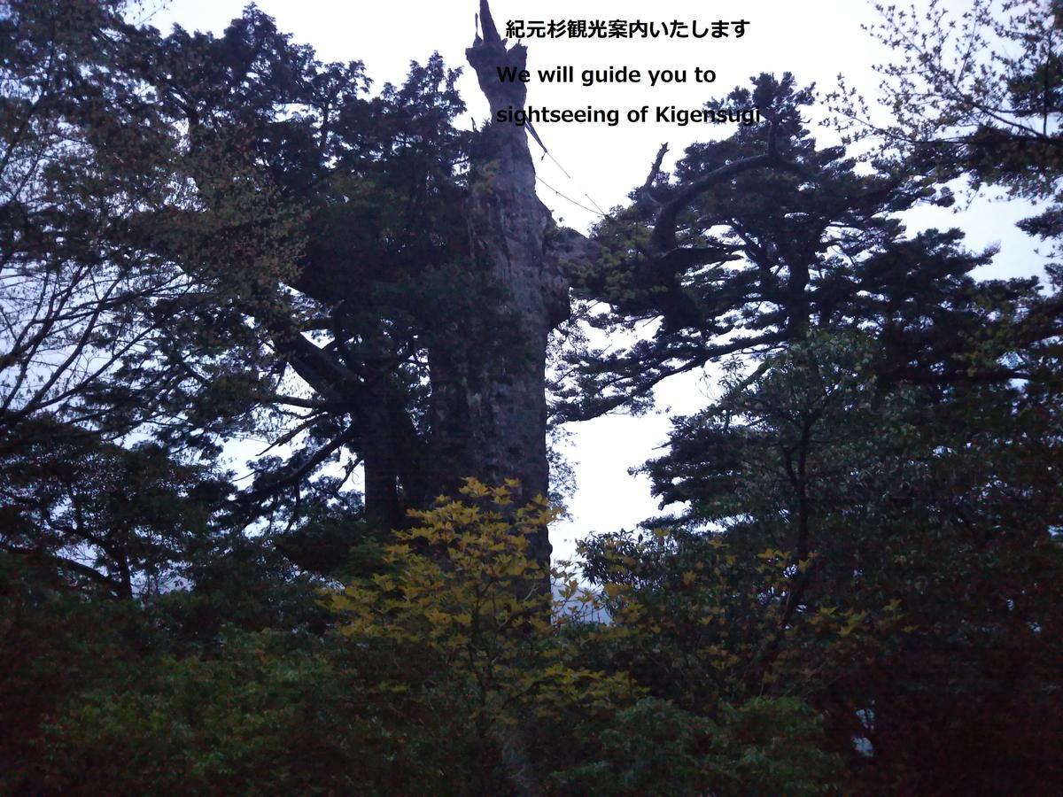 Cottage Yakusugi House Yakushima  Exterior photo