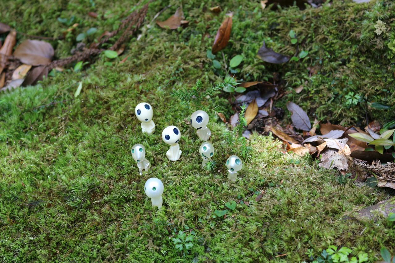 Cottage Yakusugi House Yakushima  Exterior photo