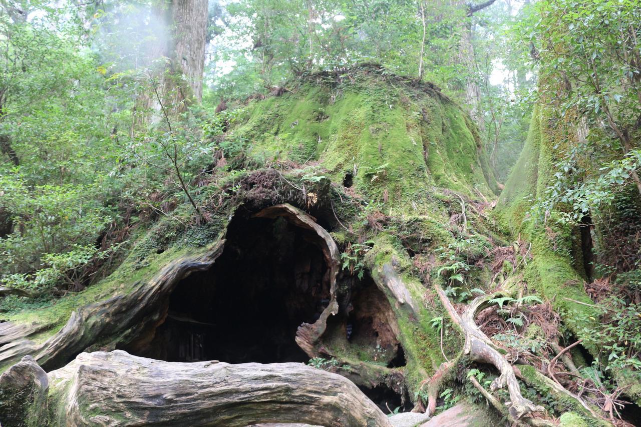 Cottage Yakusugi House Yakushima  Exterior photo
